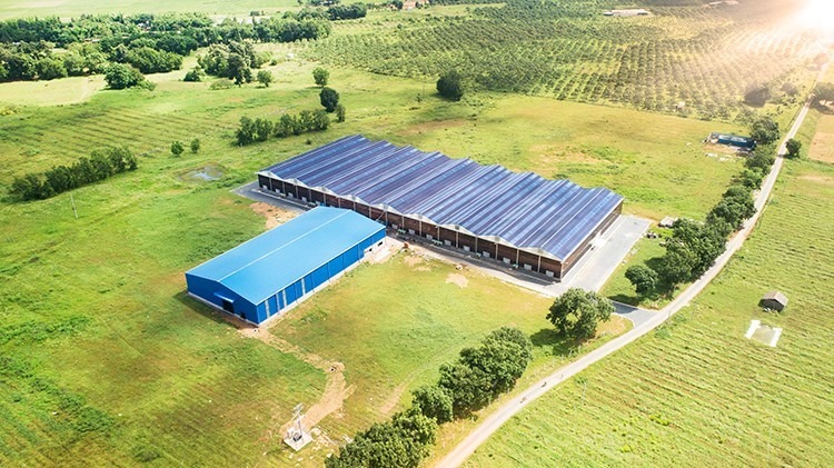 Tiên phong lắp pin mặt trời thay thế mái tôn