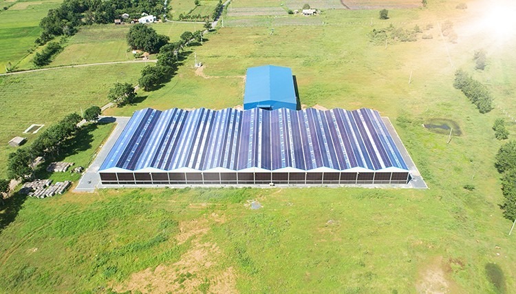 Tiên phong lắp pin mặt trời thay thế mái tôn