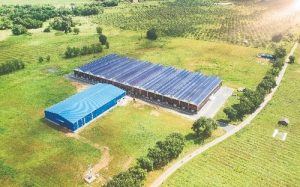 Dien Nang Luong Mat Troi Binh Duong 12